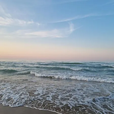 Profumo Di Mare - *